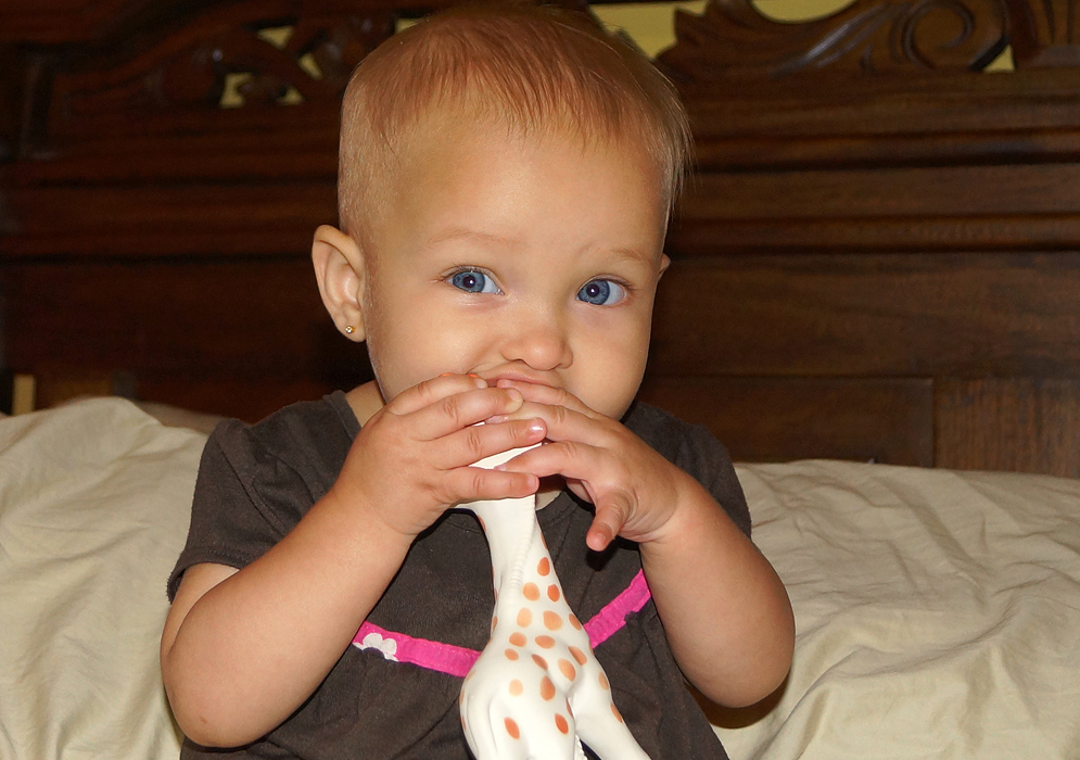 Hermosa bebé colombiana de ojos azules masticando su jirafa de juguete