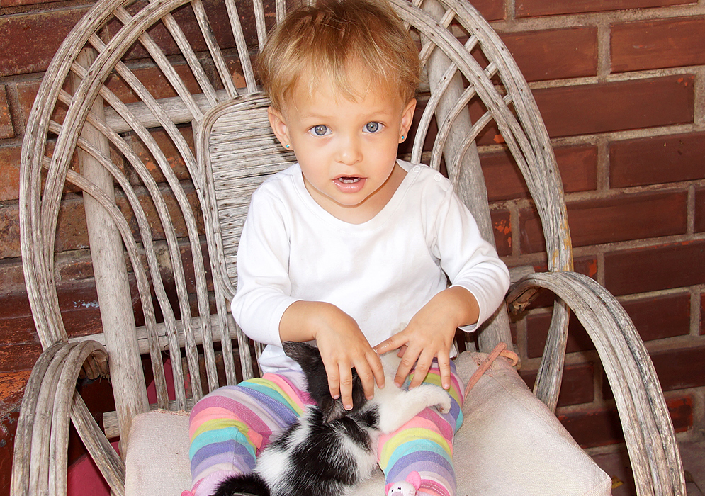Bebé sentada en una silla de madera en el patio acariciando a un gatito